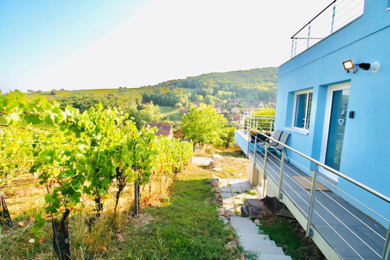 Janea Big Blue House Apartment Reichsfeld ภายนอก รูปภาพ