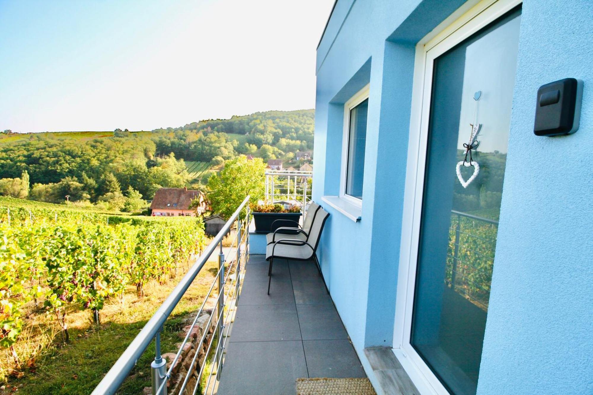 Janea Big Blue House Apartment Reichsfeld ภายนอก รูปภาพ